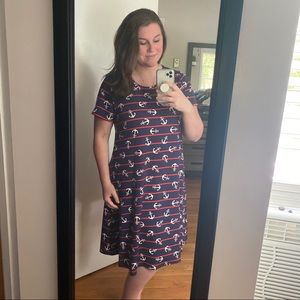LuLaRoe Jessie Dress